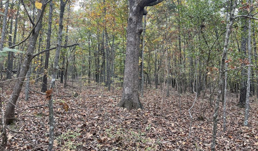 County Road 113 lot 1, Alton, MO 65606 - 0 Beds, 0 Bath