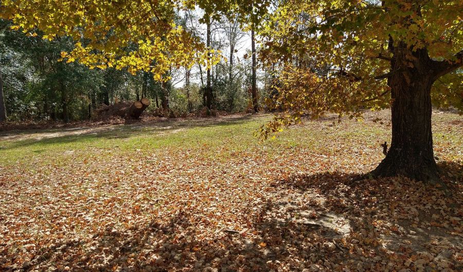 W Hwy 24, Bartow, GA 30413 - 0 Beds, 0 Bath