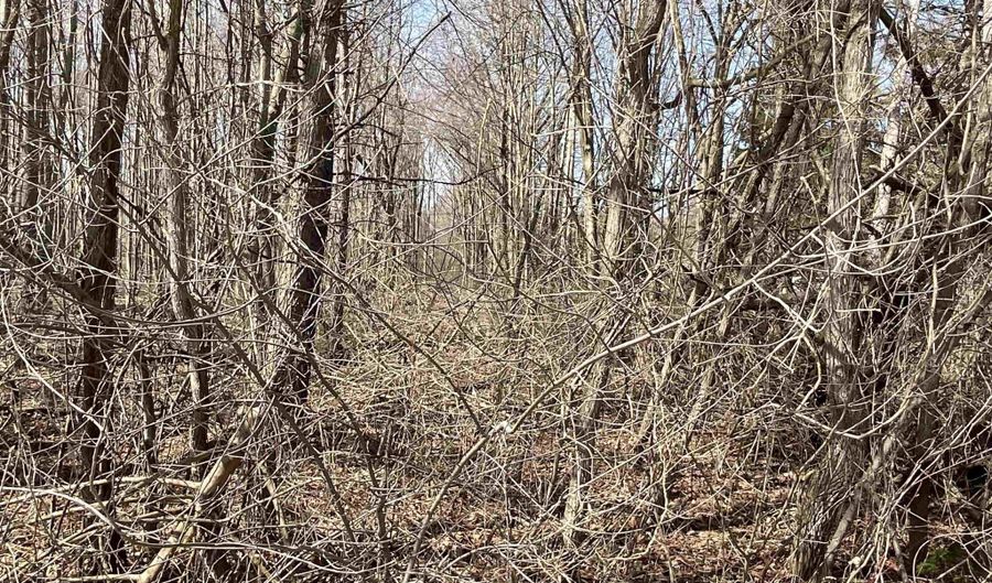 8950 Field, Algonac, MI 48001 - 0 Beds, 0 Bath