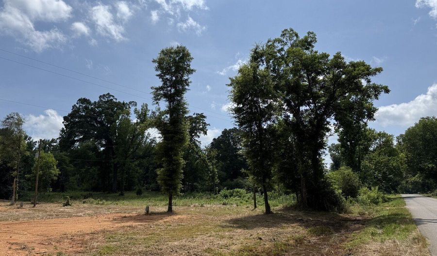0 County Road 42, Akron, AL 35474 - 0 Beds, 0 Bath