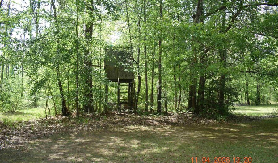 CAMERON ROAD, Bastrop, LA 71220 - 0 Beds, 0 Bath