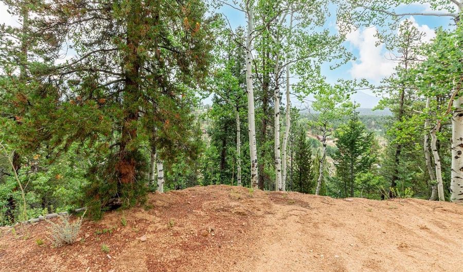 427 Wise Rd, Bailey, CO 80421 - 0 Beds, 0 Bath