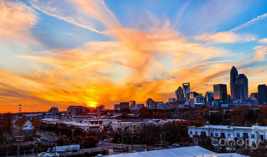 919 Cityscape Dr, Charlotte, NC 28205 - 3 Beds, 4 Bath