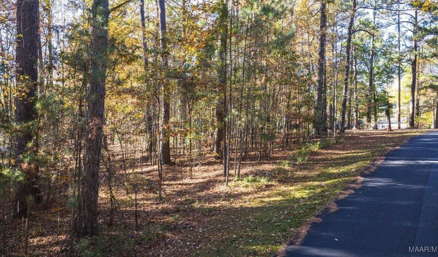 1 Willow Ln, Alexander City, AL 35010 - 0 Beds, 0 Bath