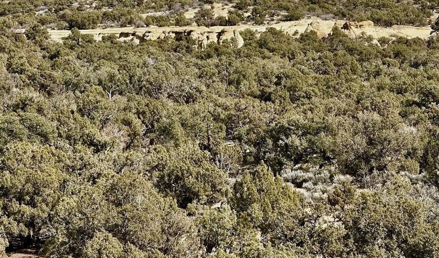 CR 2550 Road, Aztec, NM 87410 - 0 Beds, 0 Bath