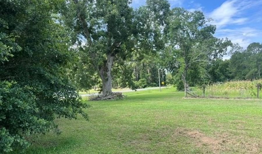 4180 McConnell Bridge Rd, Adel, GA 31620 - 0 Beds, 0 Bath