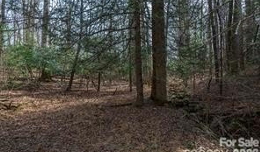 Ball Gap Road, Arden, NC 28704 - 0 Beds, 0 Bath