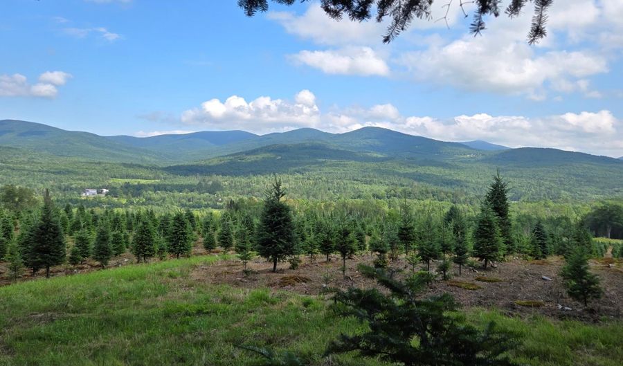 374 Crank Rd, Bloomfield, VT 05905 - 3 Beds, 2 Bath