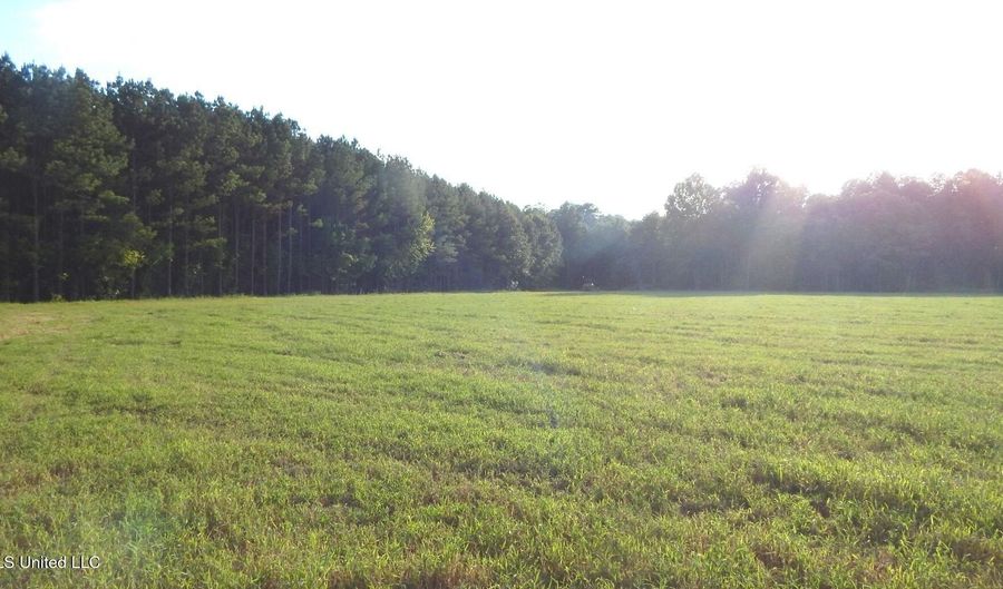 504 247 Country Rd, Bruce, MS 38915 - 0 Beds, 0 Bath