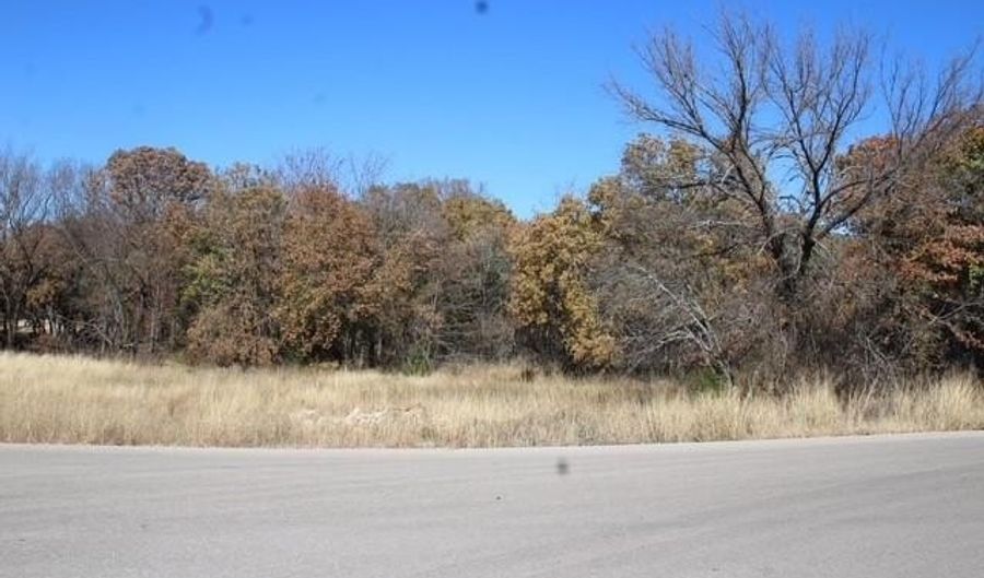 450 Rolling Hills Blvd, Alvord, TX 76225 - 0 Beds, 0 Bath