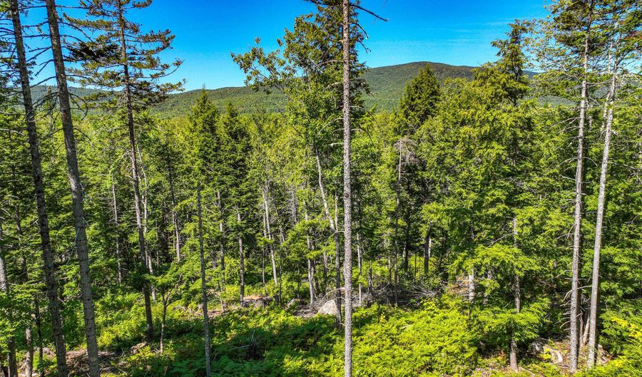 Sawyer Notch Road lot 39, Andover, ME 04216 - 0 Beds, 0 Bath