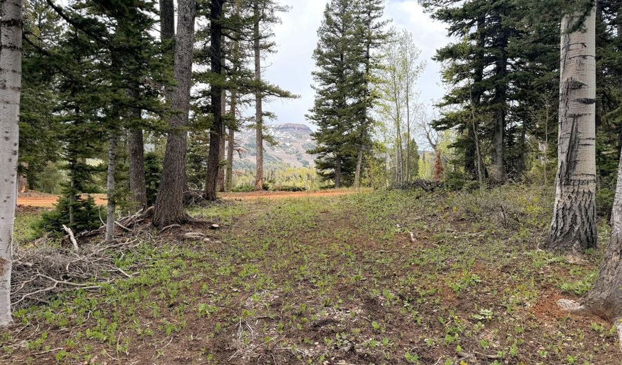 646 W Ski View Dr, Brian Head, UT 84719 - 0 Beds, 0 Bath