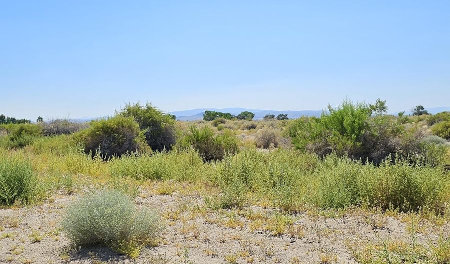 8245 Kamibo Dr, Fallon, NV 89406 - 0 Beds, 0 Bath