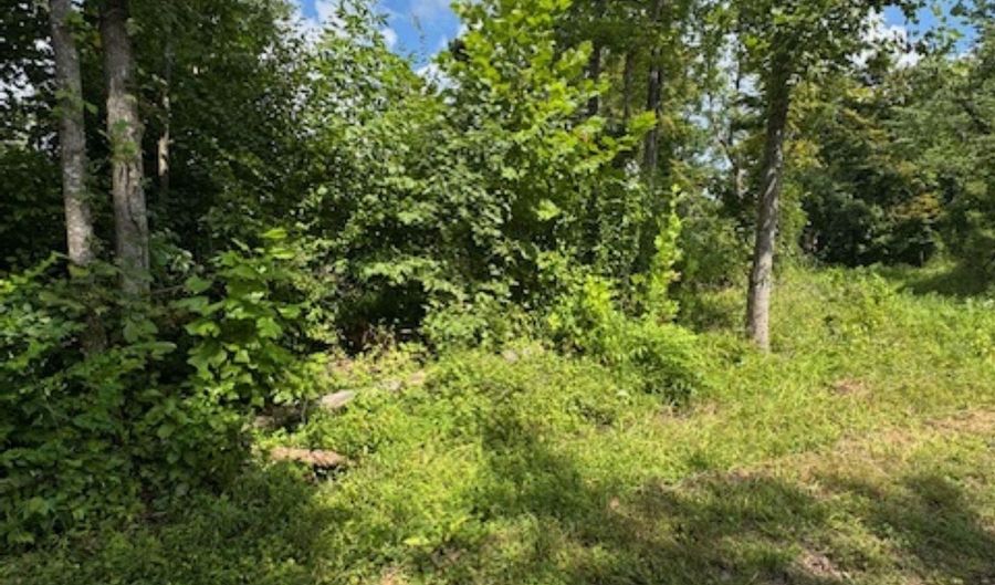 250 E Limeberry Rd, Paoli, IN 47454 - 0 Beds, 0 Bath