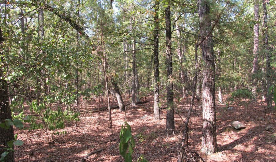 15 Antlers Rd, Antlers, OK 74523 - 0 Beds, 0 Bath
