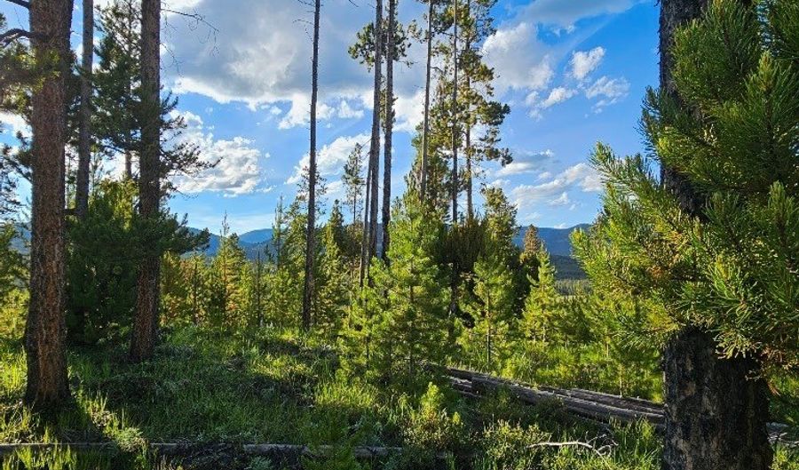 NHN Herring Flats Road, Anaconda, MT 59711 - 0 Beds, 0 Bath