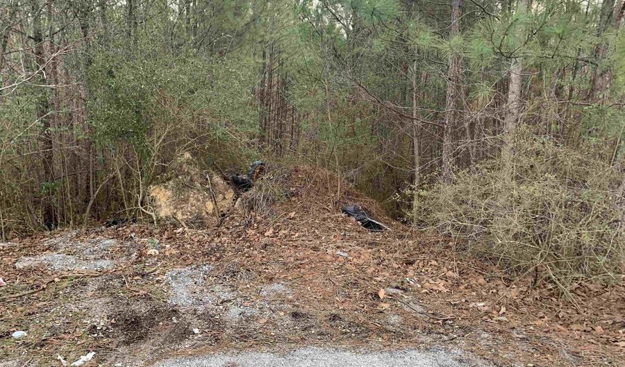 6 Acre T Owens Dr, Anniston, AL 36201 - 0 Beds, 0 Bath