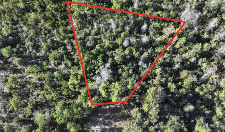 Pisgah Court, Alford, FL 32420 - 0 Beds, 0 Bath