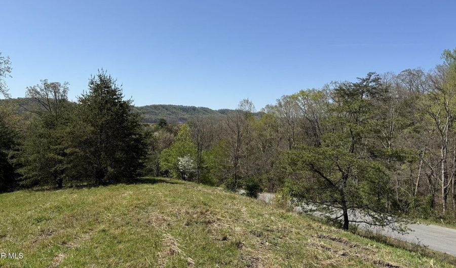 Lot 52 Bayside Boulevard, Bean Station, TN 37708 - 0 Beds, 0 Bath