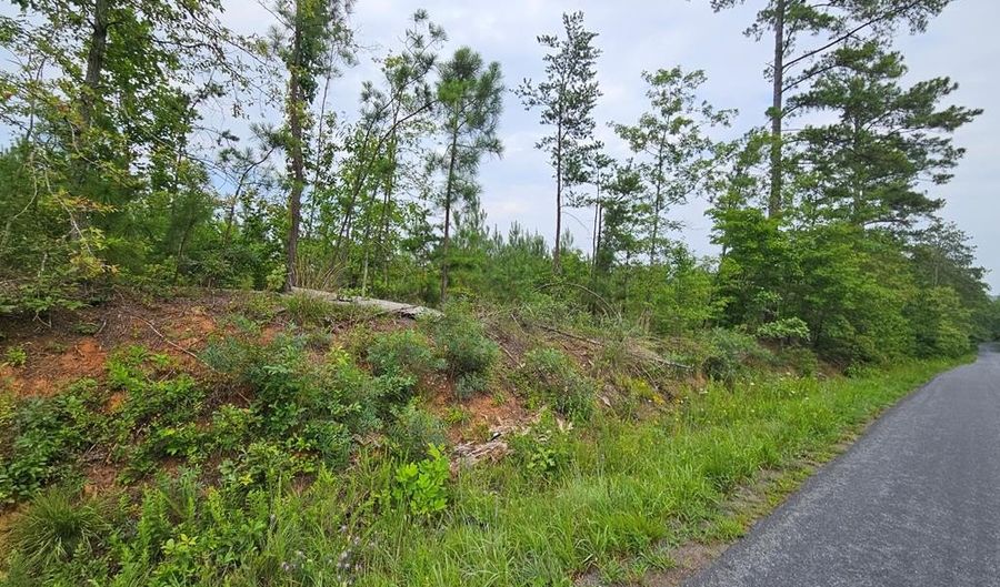 671 Penlan Rd Lot 2, Arvonia, VA 23004 - 0 Beds, 0 Bath