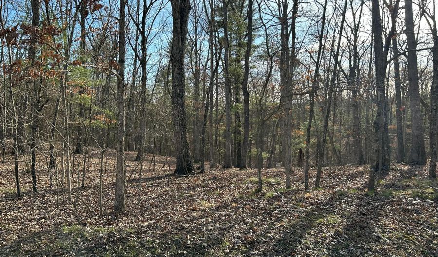 MISTY MEADOWS Lane, Augusta, WV 26704 - 0 Beds, 0 Bath