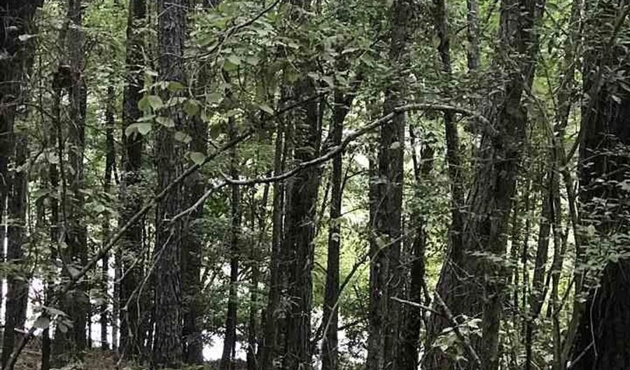 HIGHWAY 191 lot 32, Alpine, AL 35014 - 0 Beds, 0 Bath