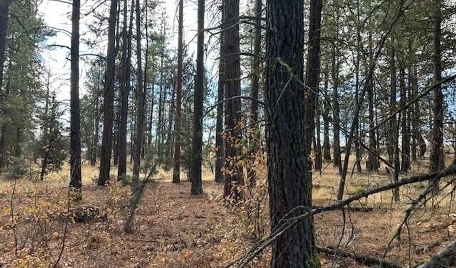 Chicken Hawk Drive Lot 20, Bonanza, OR 97623 - 0 Beds, 0 Bath