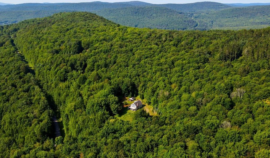 425 Woodland Hills Rd, Andes, NY 13731 - 3 Beds, 2 Bath