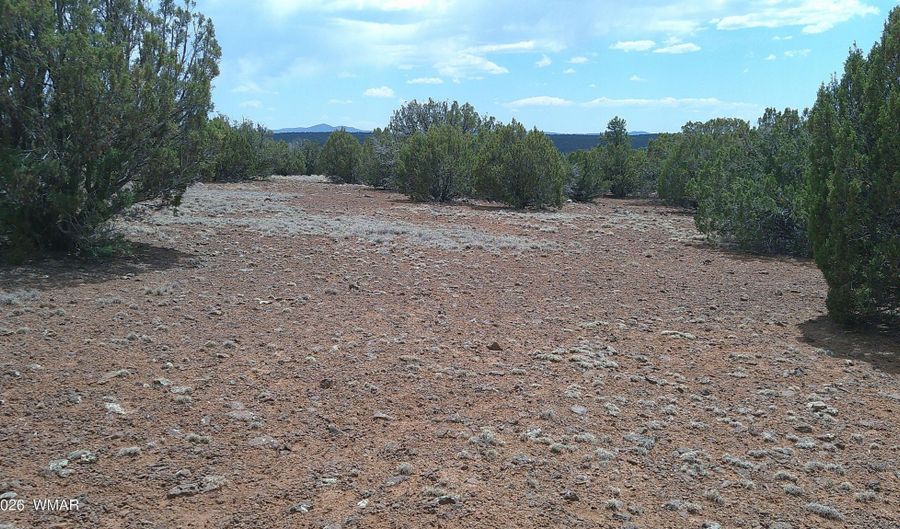 74 Co Rd, Concho, AZ 85924 - 0 Beds, 0 Bath