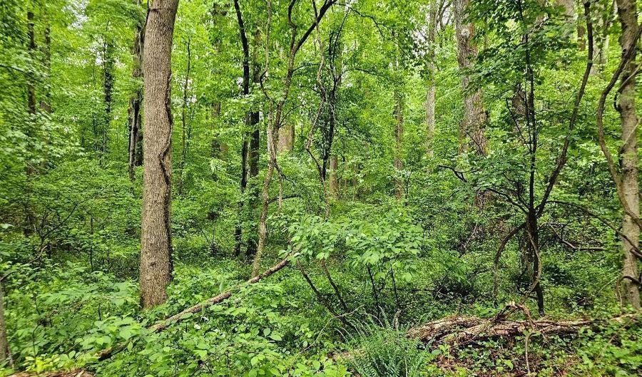 JOHN LANGSTON Avenue, Aquasco, MD 20608 - 0 Beds, 0 Bath