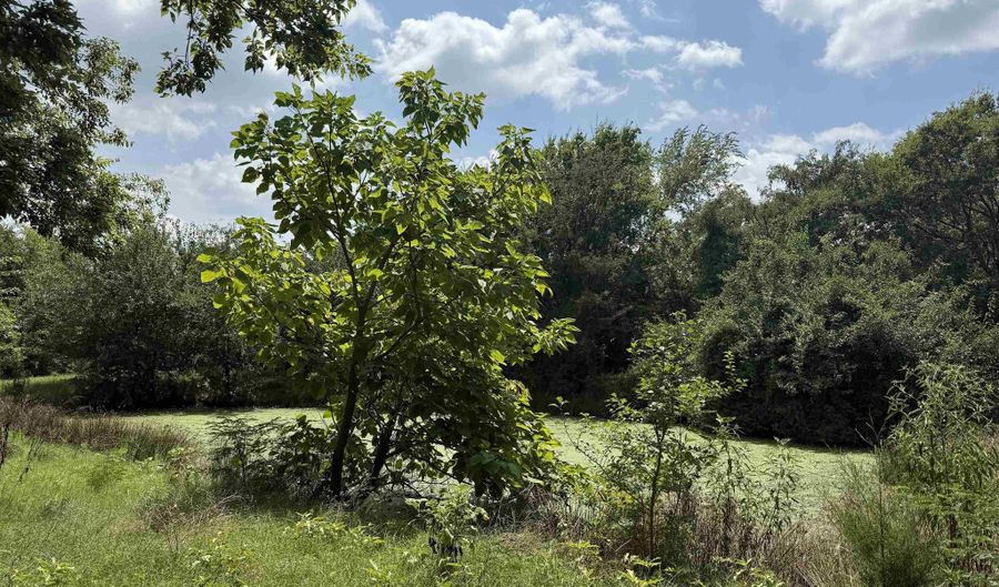 TBD FM 71 SS, Sulphur Springs, TX 75482 - 0 Beds, 0 Bath