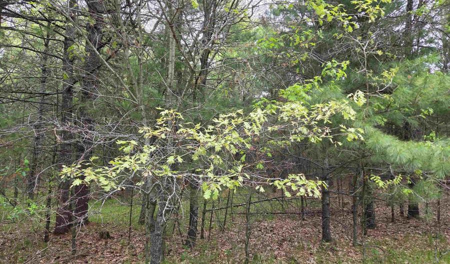 S Badger Lane lot 39, Arkdale, WI 54613 - 0 Beds, 0 Bath