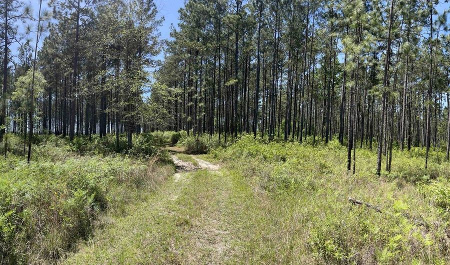 0 Orem Rd, Bay Minette, AL 36507 - 0 Beds, 0 Bath
