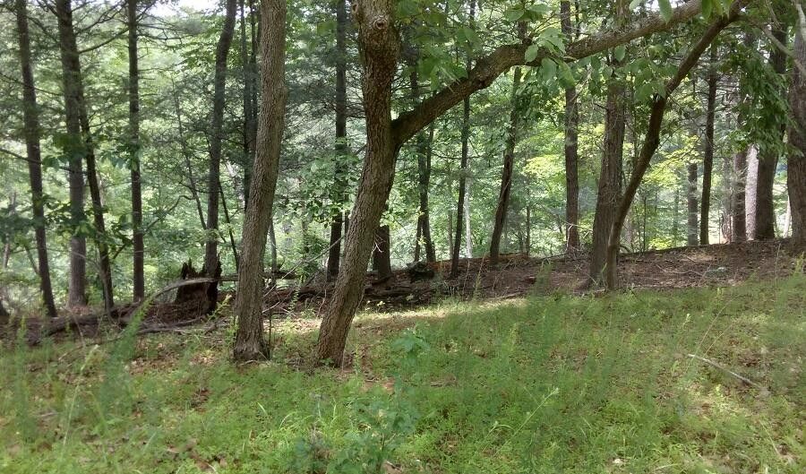 Lot 103 Bailey BLVD, Hardy, VA 24101 Single Family Detached 10 of