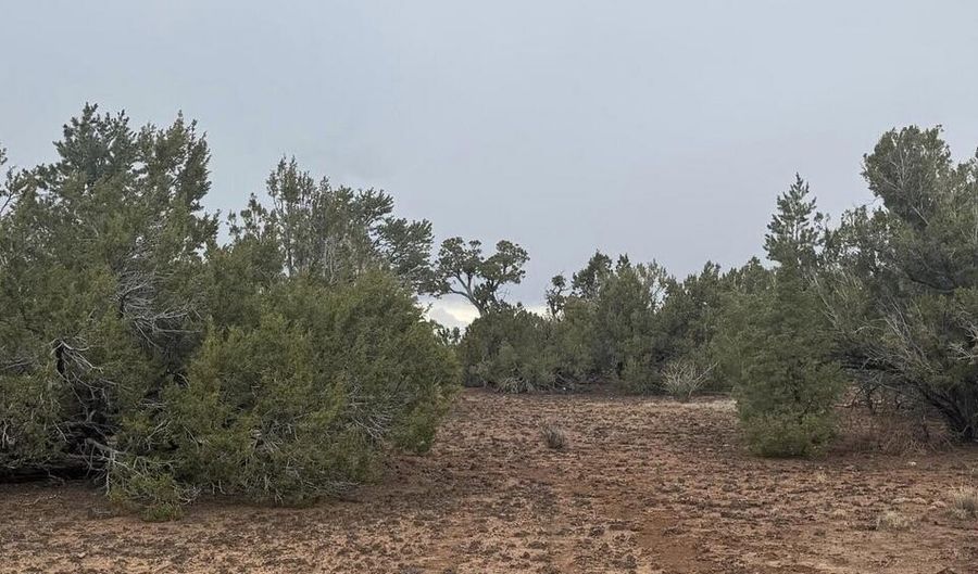 3 ACR 8128 Rd 250, Concho, AZ 85924 - 0 Beds, 0 Bath