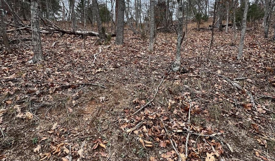 HAMPTON Street, Basye, VA 22810 - 0 Beds, 0 Bath