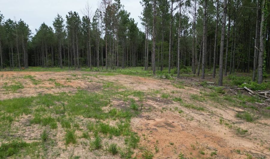19 43 Big Rocks Rd, Antlers, OK 74523 - 0 Beds, 0 Bath