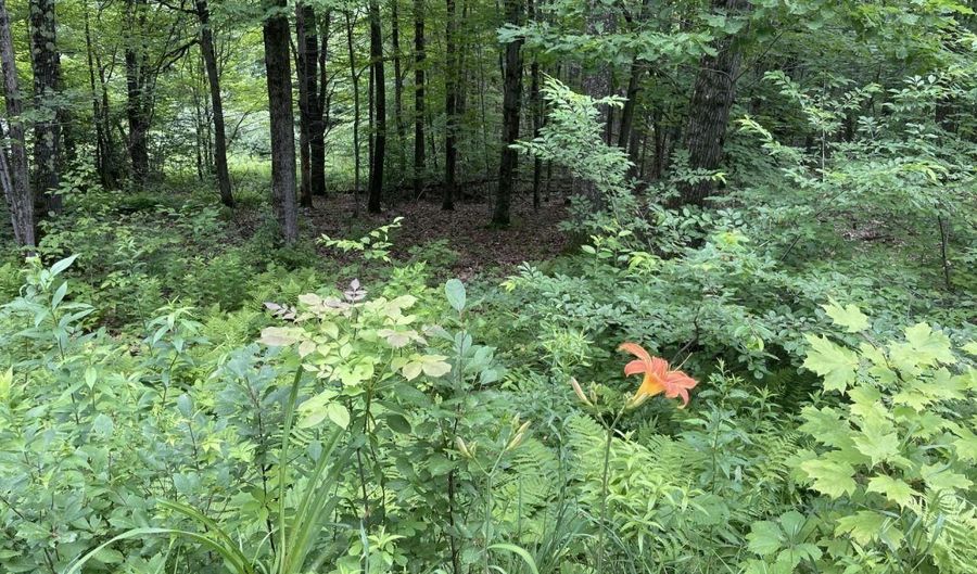 956 N Barnstead Rd, Barnstead, NH 03225 - 0 Beds, 0 Bath