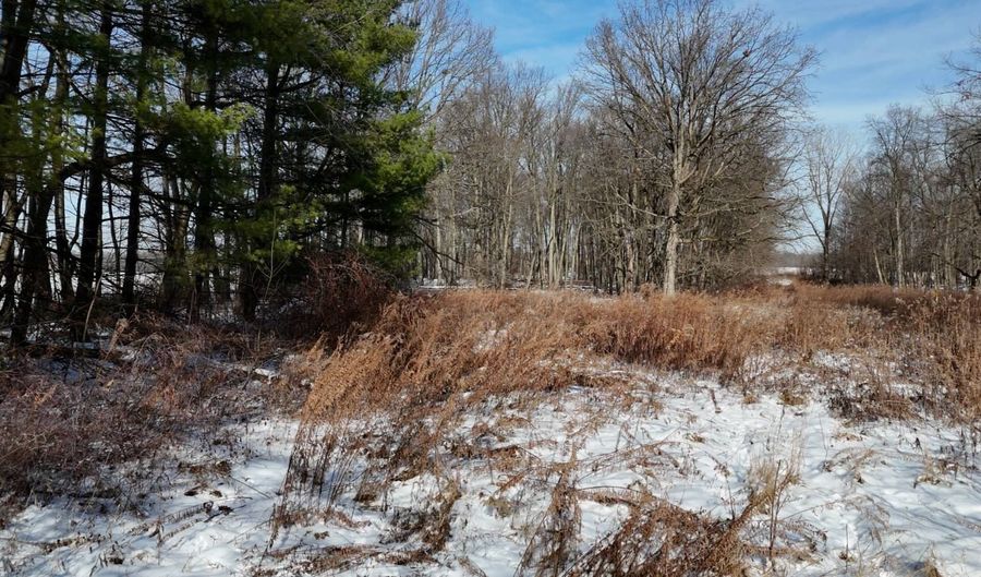 0 Twp Rd 564, Ashland, OH 44805 - 0 Beds, 0 Bath