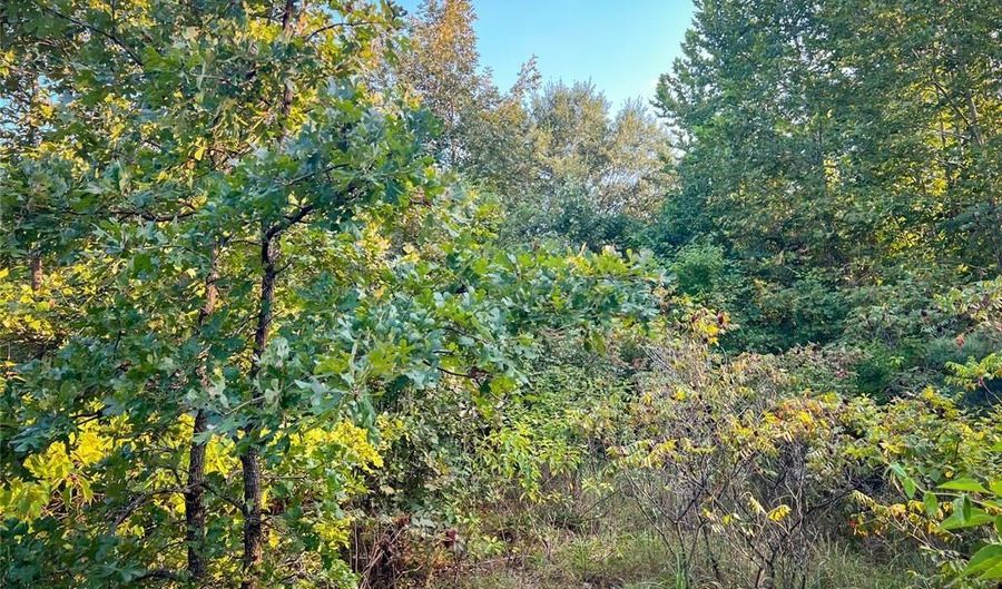 Tbd Highway 3, Antlers, OK 74523 - 0 Beds, 0 Bath