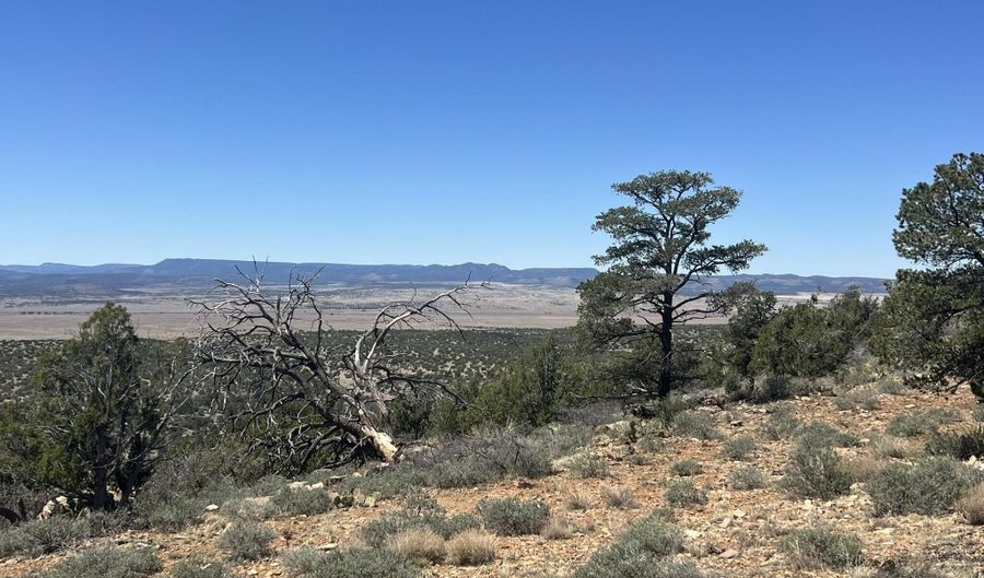 295 Old Deputy Shortline, Ash Fork, AZ 86320 - 0 Beds, 0 Bath