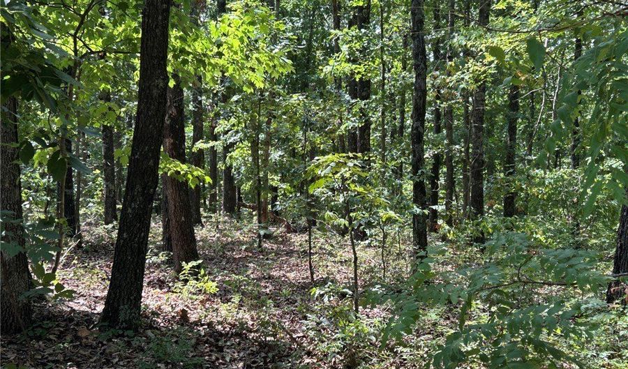 Cranbrook Lane lot 21, Bella Vista, AR 72714 - 0 Beds, 0 Bath