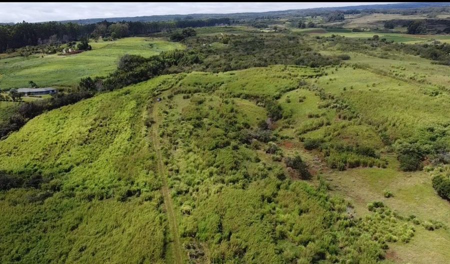 1-3 PRIVATE Rd, Hakalau, HI 96710 - 0 Beds, 0 Bath