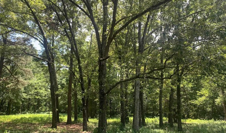 365 Skinner Rd, Austin, AR 72007 - 0 Beds, 0 Bath