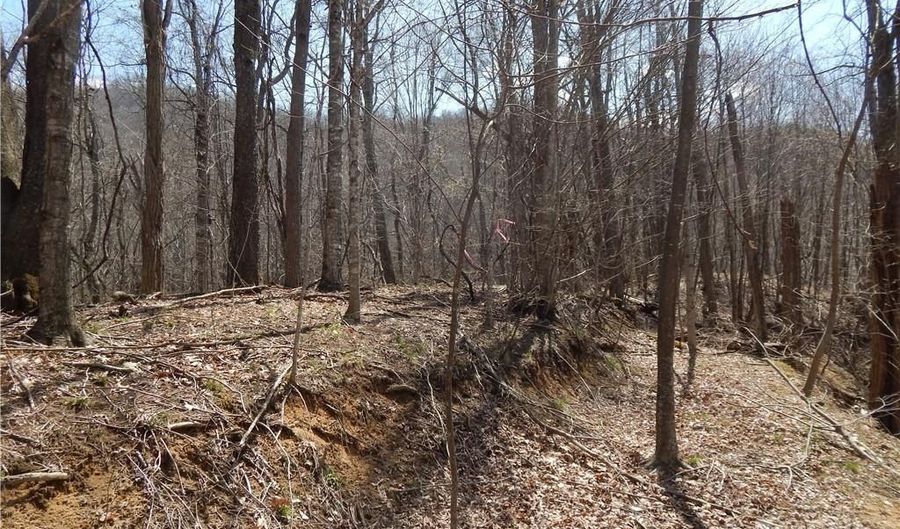 Gentry Farm Road, Aurora, NC 28743 - 0 Beds, 0 Bath