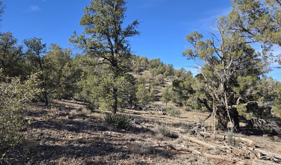 446 Arizona Rd, Ash Fork, AZ 86320 - 0 Beds, 0 Bath