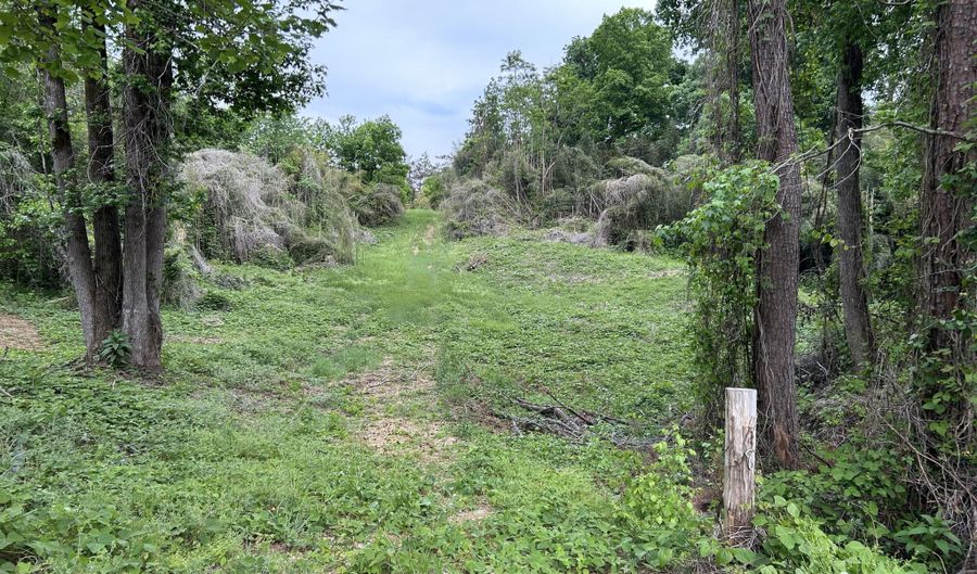 CR 205, Blue Springs, MS 38828 - 0 Beds, 0 Bath