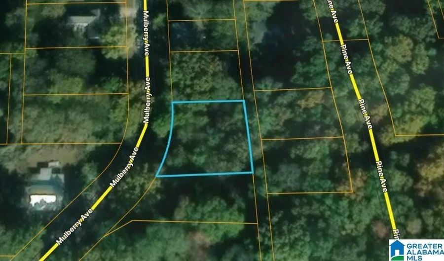 MULBERRY AVENUE, Anniston, AL 36201 - 0 Beds, 0 Bath