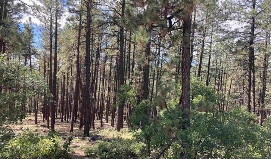 226 Elk Dr, Bayfield, CO 81122 - 0 Beds, 0 Bath