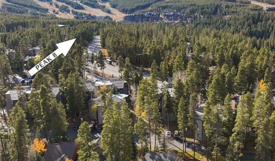 114 PARK FOREST Dr, Breckenridge, CO 80424 - 3 Beds, 3 Bath
